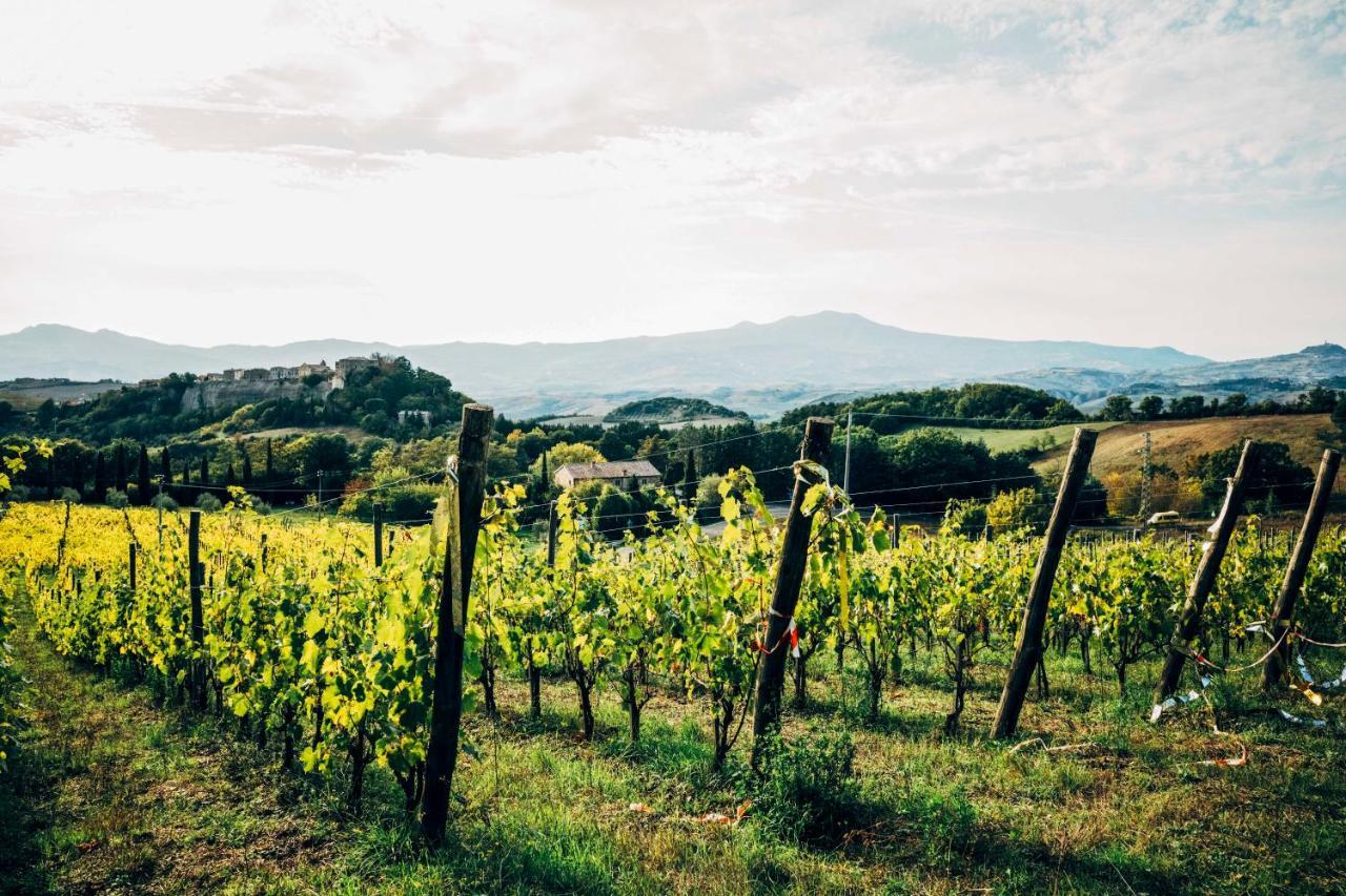 Podere Orto Wine Country House Trevinano ภายนอก รูปภาพ