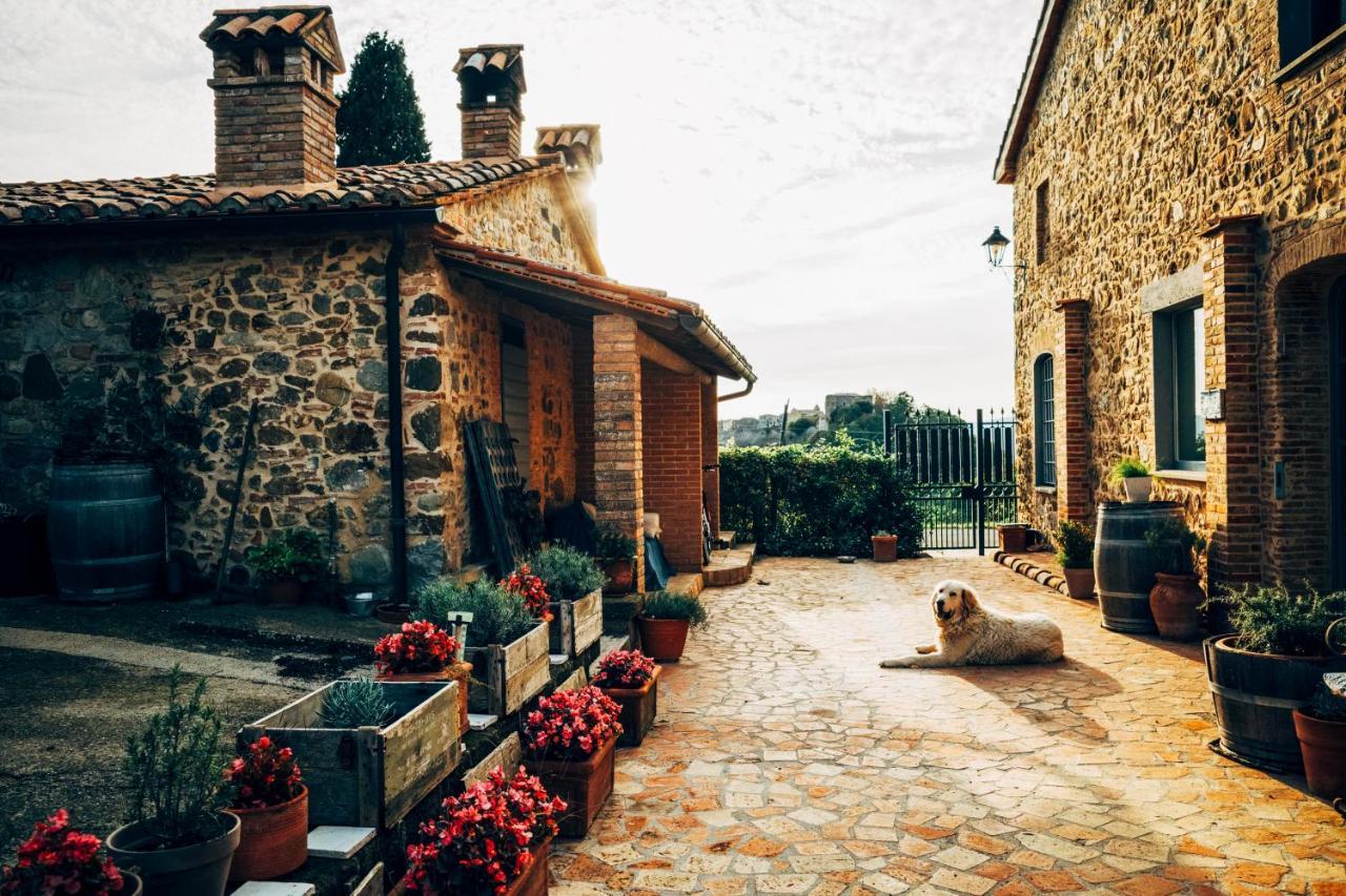 Podere Orto Wine Country House Trevinano ภายนอก รูปภาพ