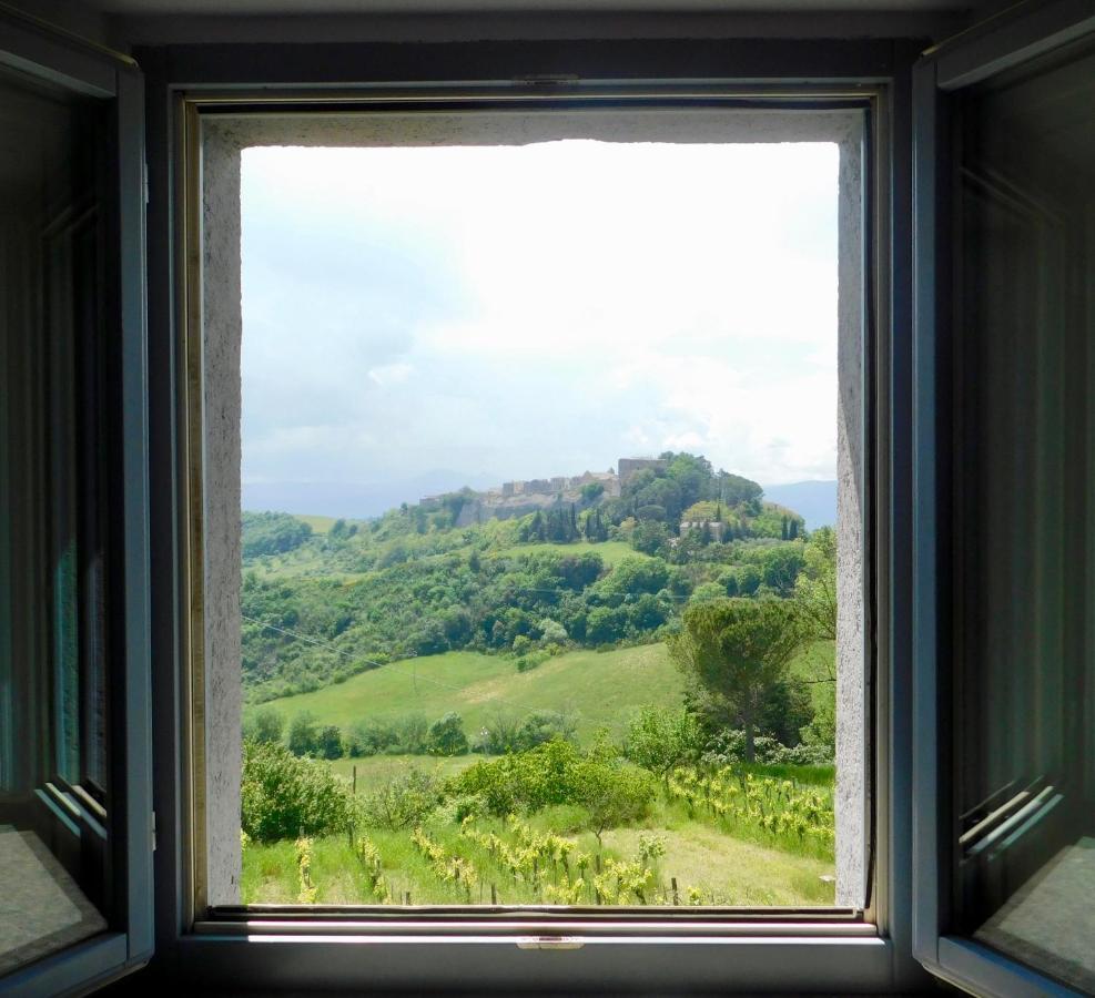 Podere Orto Wine Country House Trevinano ภายนอก รูปภาพ
