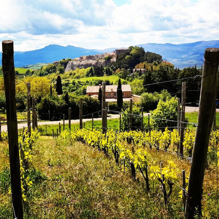 Podere Orto Wine Country House Trevinano ภายนอก รูปภาพ