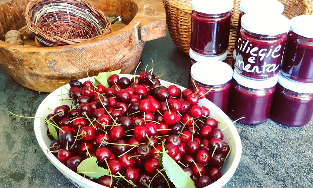 Podere Orto Wine Country House Trevinano ภายนอก รูปภาพ