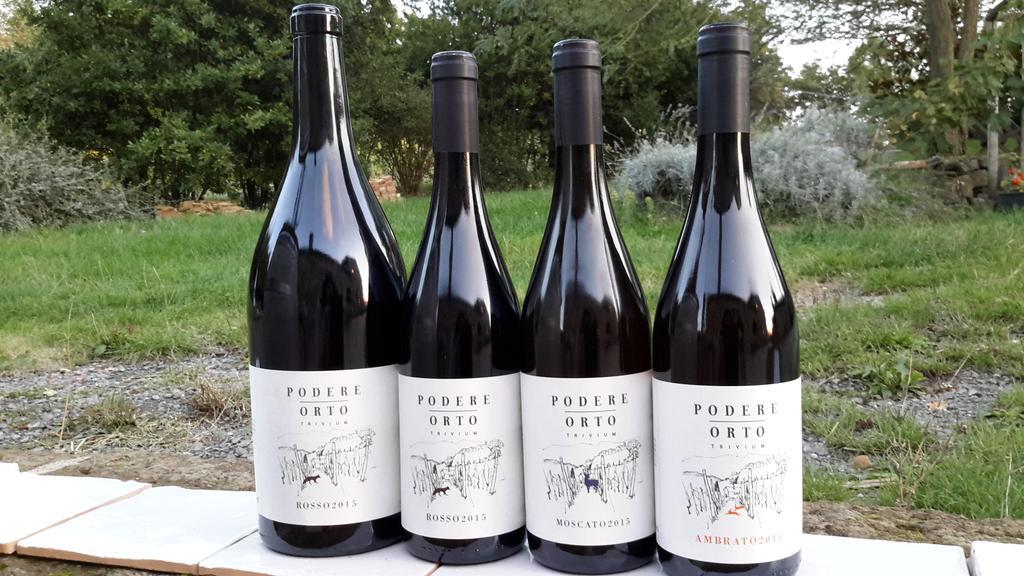 Podere Orto Wine Country House Trevinano ภายนอก รูปภาพ